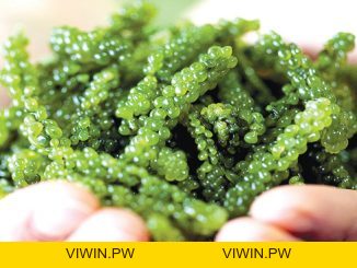 Review Đánh Giá - viwin.pw - VIWIN.PW