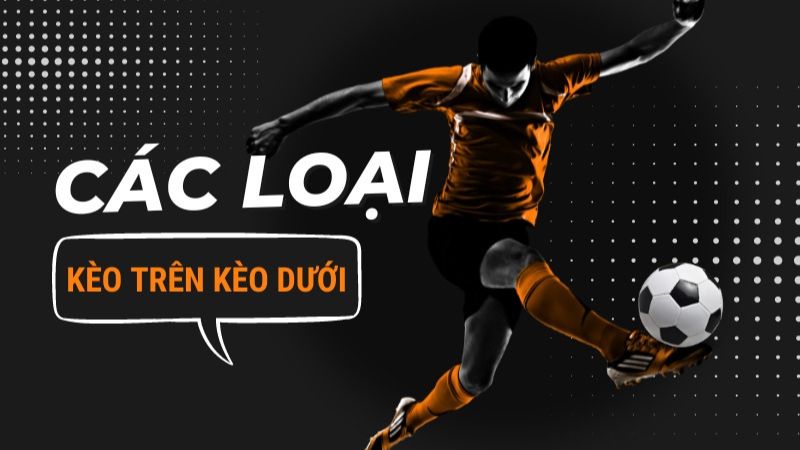 Kèo trên kèo dưới là gì? Các tỷ lệ kèo trên dưới phổ biến - VIWIN.PW