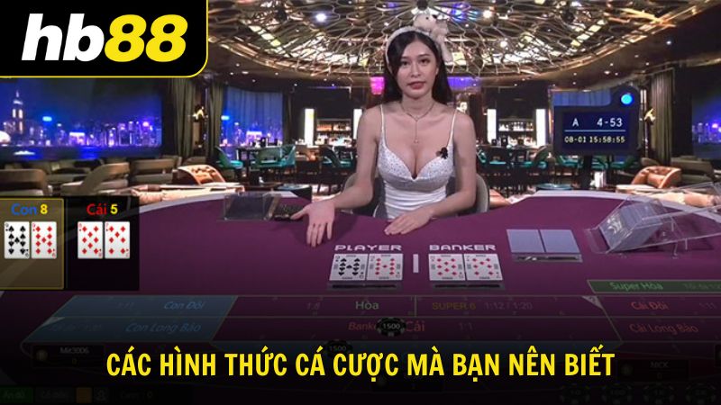 Tool hack Baccarat - Bí quyết để tối ưu chiến thắng của HB88 - VIWIN.PW