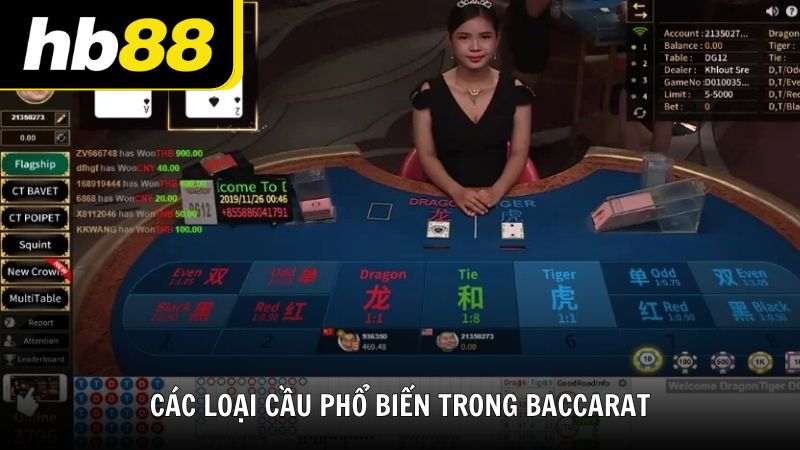Hướng dẫn cách soi cầu Baccarat chuẩn xác từ cao thủ HB88 - VIWIN.PW