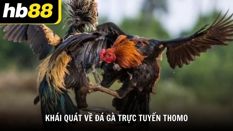 Đá Gà - HB88 - VIWIN.PW