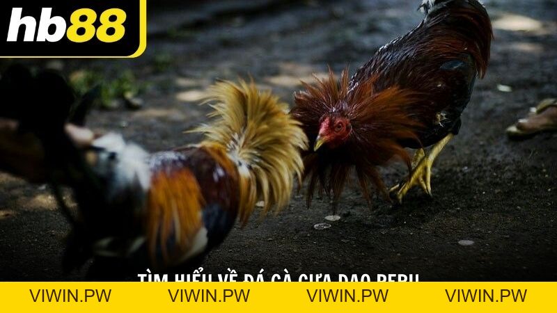 Đá Gà - HB88 - VIWIN.PW